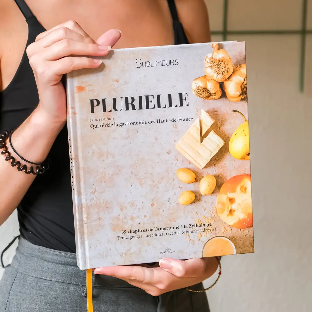 Livre - Plurielle - Les Sublimeurs