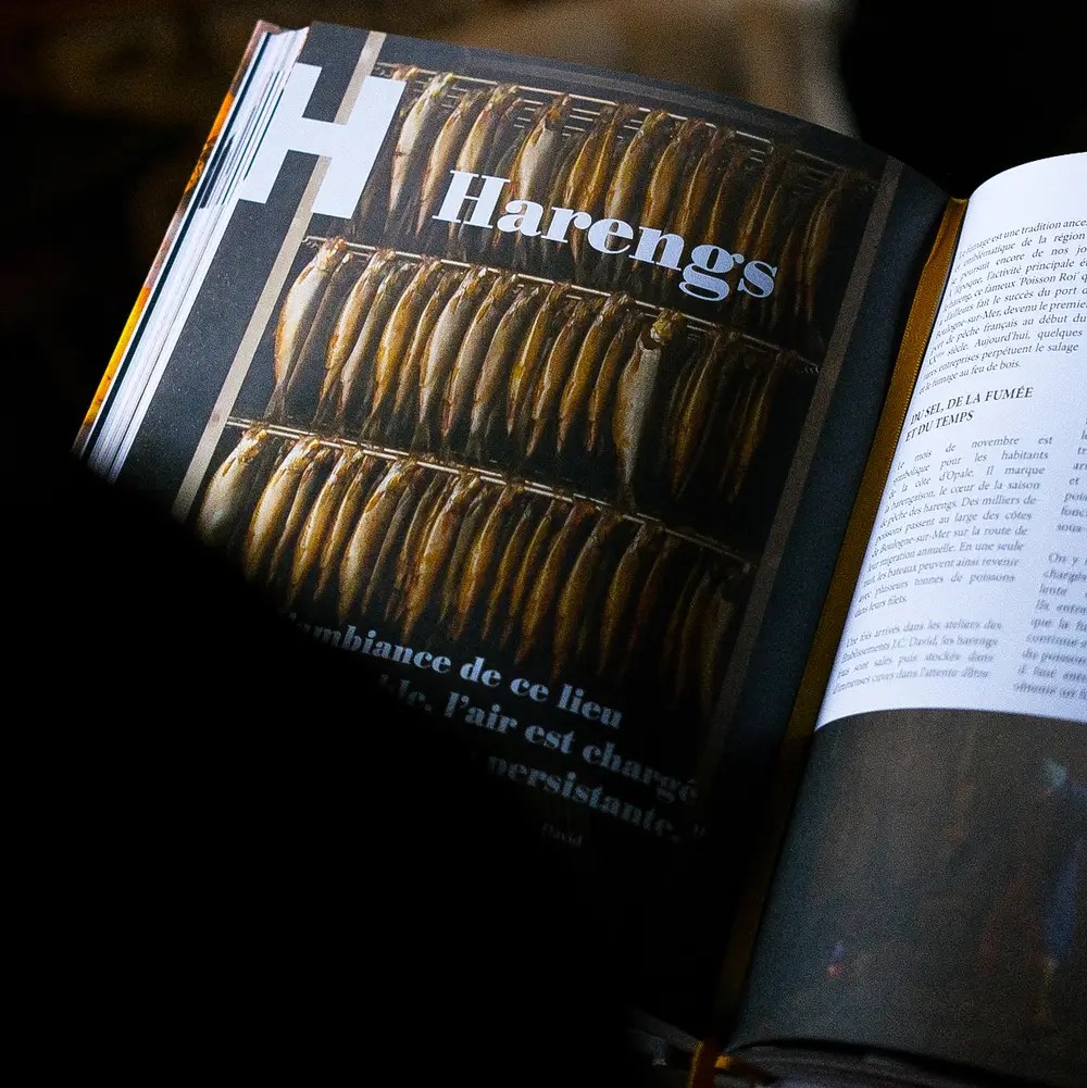 Livre - Plurielle - Les Sublimeurs – Image 2