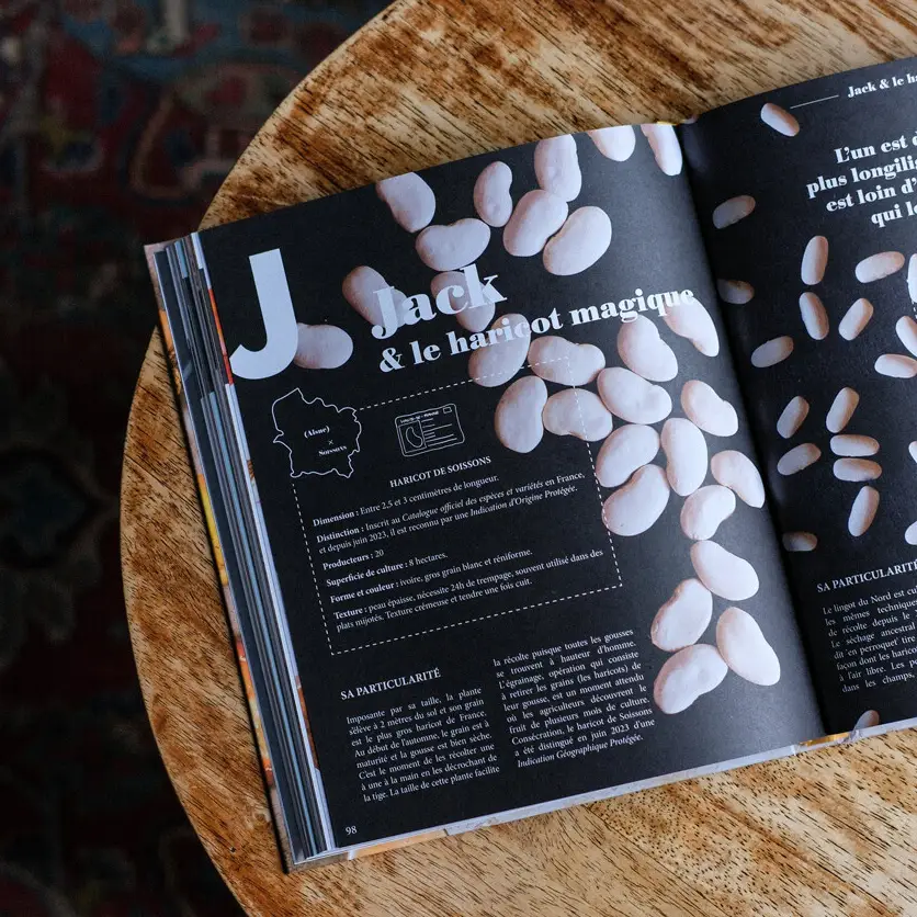 Livre - Plurielle - Les Sublimeurs – Image 4